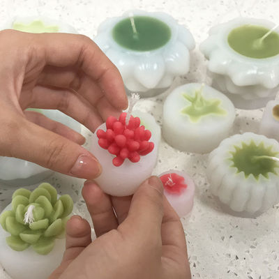 Succulent Candle Moulds Trwałe MHC Unikalne świece 3D Małe Succulent Mini Making Kit Narzędzia do robienia ciastek Typ formy